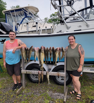 Lake Erie perch and walleye fishing fun!